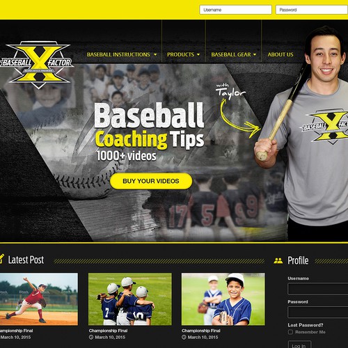 Baseball Website/Blog Design Needed