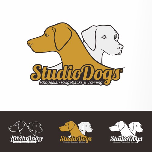 It's dog it's studio