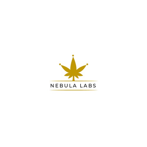 Modern log concept for Nebula Labs