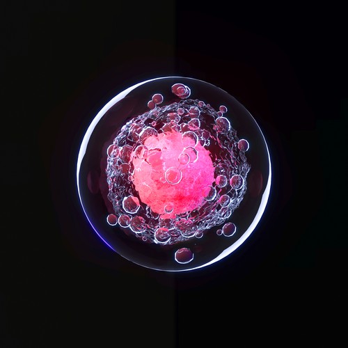 Rendering of human cell