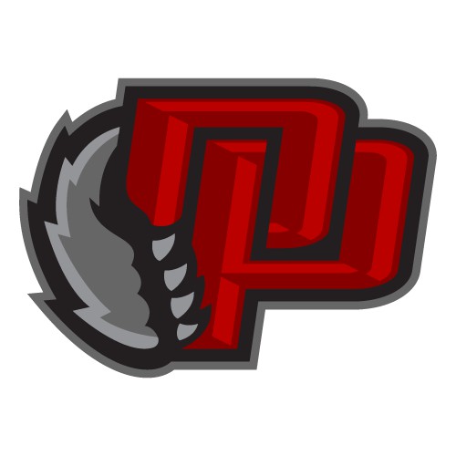 Design a new Wildcat logo for Deer Park Community City Schools