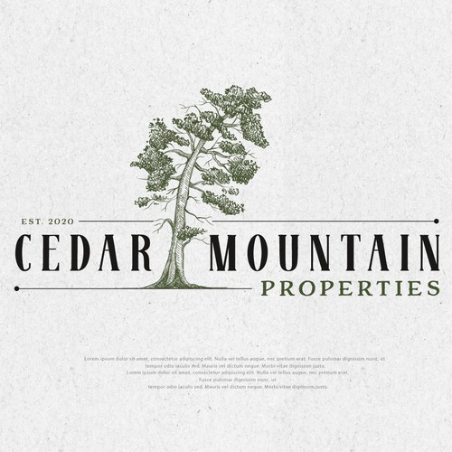 CEDAR MOUNTAIN PROPERTIES