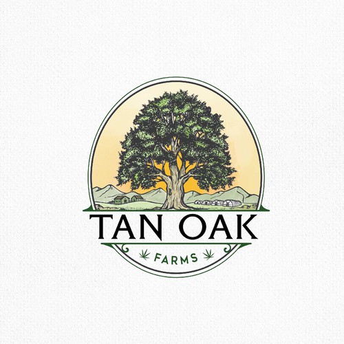 tan oak