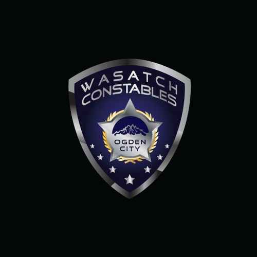 Create a logo for a civil law enforcement agency!