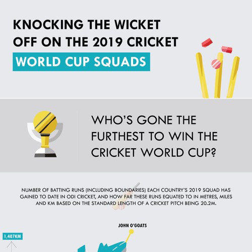 2019 Cricket World Cup Infographic