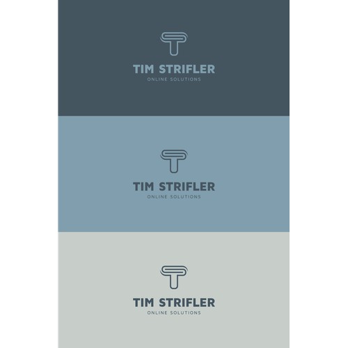 TS logo design