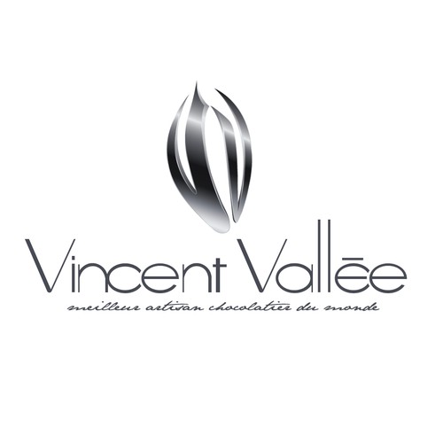 Concept création de logo pour Vincent Vallée