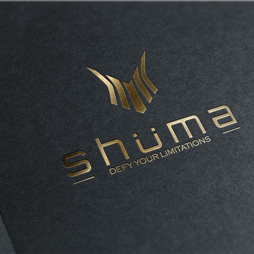 Create a logo for a new player in the sports industry!!