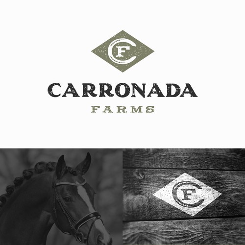 Logo design for horse farm