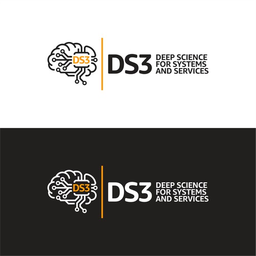 DS3