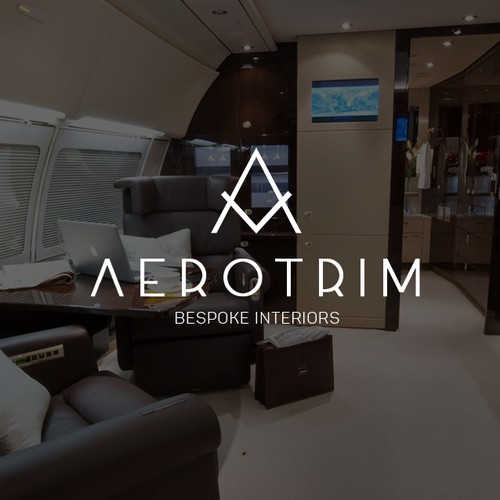 Create a beautiful logo for a company that designs luxury interiors for jets.