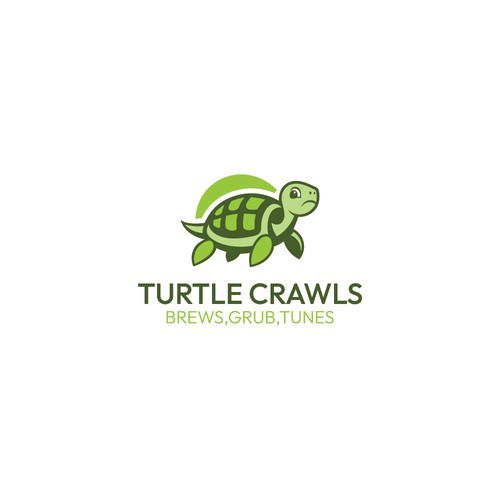  Turtle Crawls