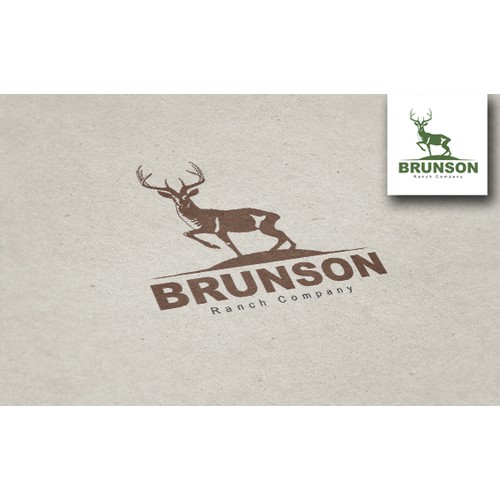 Logo concept for Brunson