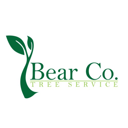 Bear Co. Tree Service
