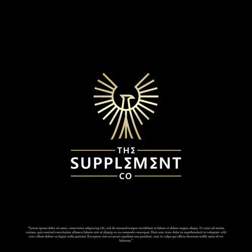 THE SUPPLEMENT CO