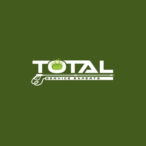 Total Service Experts logo 