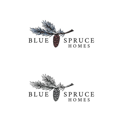 Hand Drawn Logo with Pine Cone