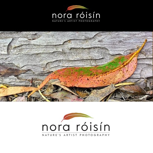 Logo for Nora Róisín: Nature's Artist Photography