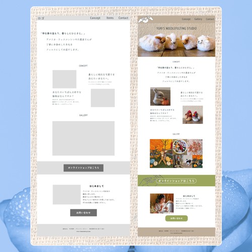 Concept Work / Mock E-commerce Site
