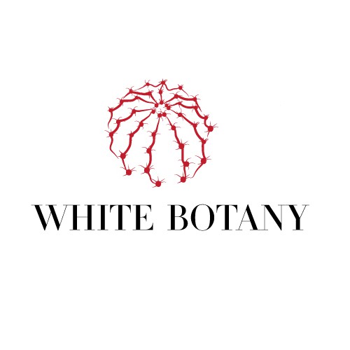 White Botany needs an elegant logo - Guaranteed Prize