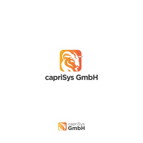 capriSys GmbH