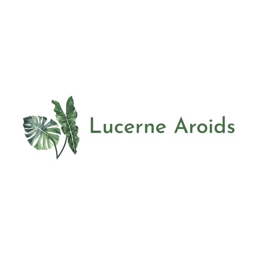 Lucenre Aroids