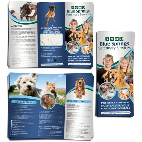 brochure design for Blue Springs Veterinary Services