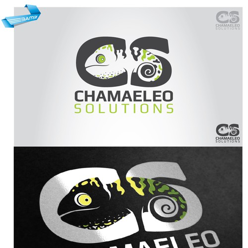 Chameleon Lizard Logo for Small Biz