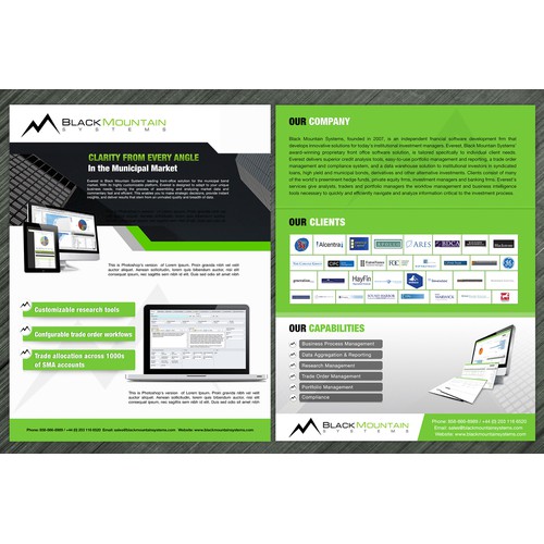 Black Mountain Systems needs a  professional 2-sided brochure