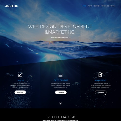 Create a website for Aquatic, a brand new development studio!