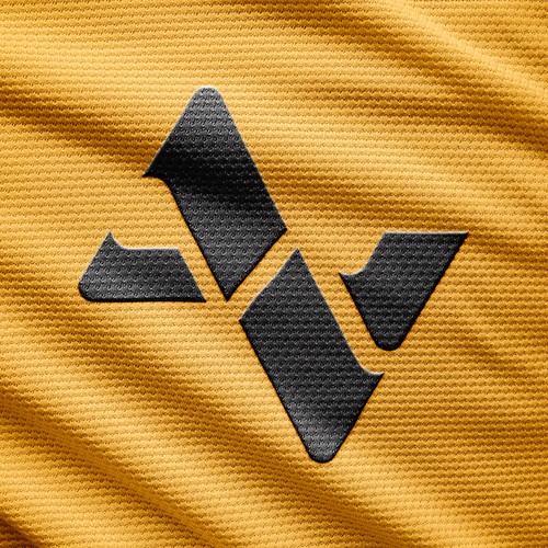 AV logo Design