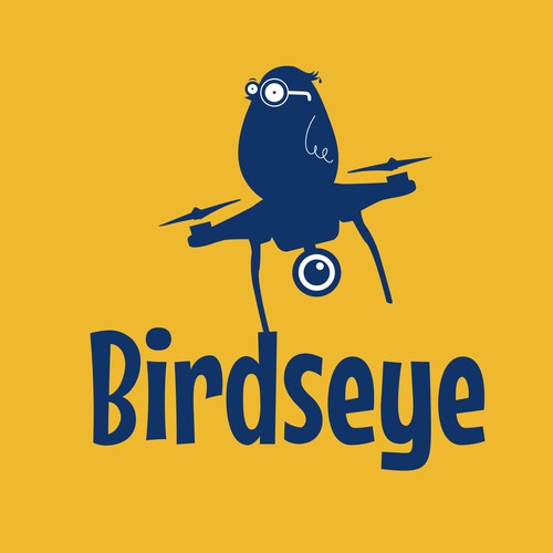 Birdseye company logo proposal