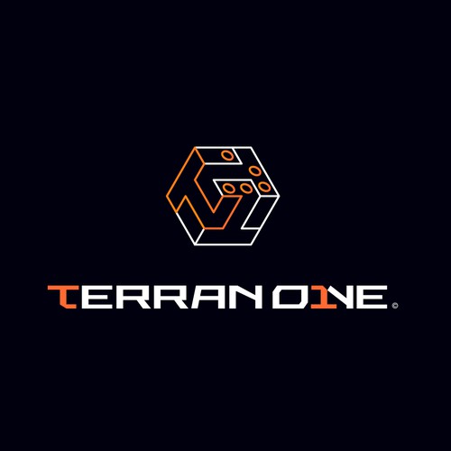TerranOne Logo Design Proposal