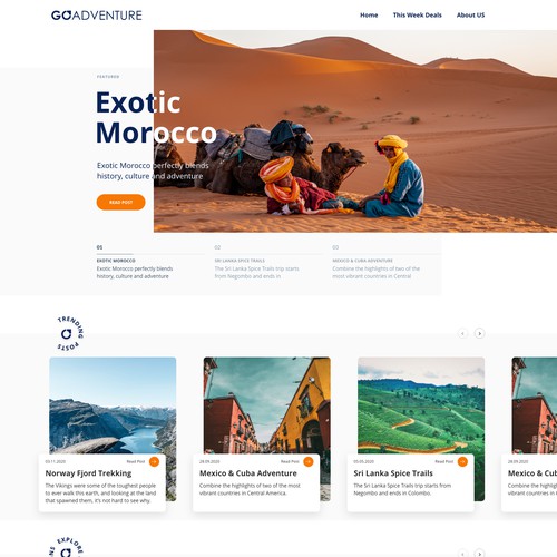 Travel Blog Website Design