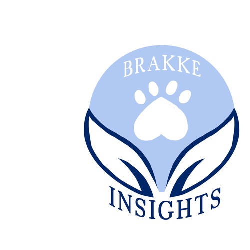 Brakke Alternative Design