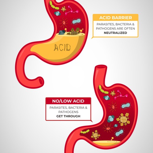 Illustration of Leaky Gut