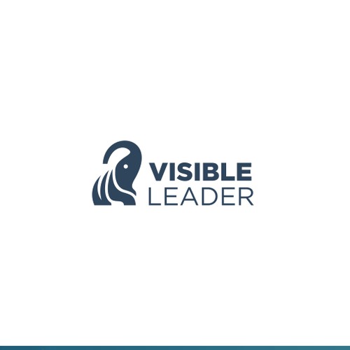 Visible leader