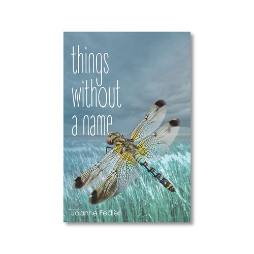 Book cover concept for novel