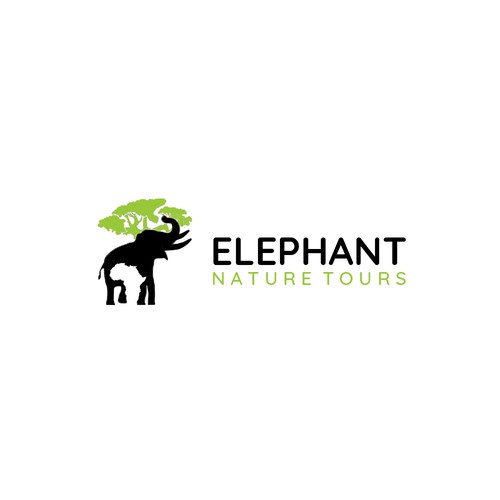 Elephant Nature Tours 