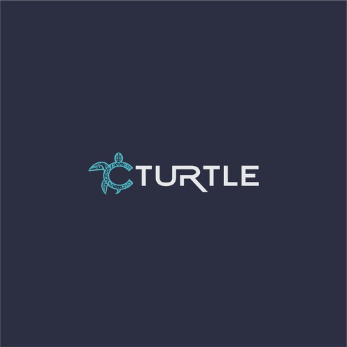 Cturtle logo