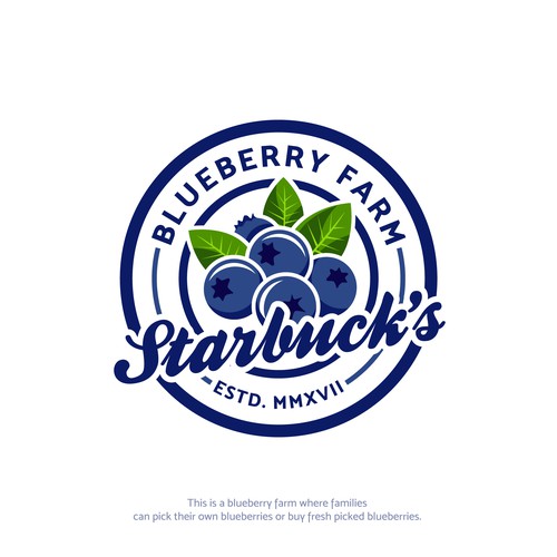 Bold logo concept for Starbuck's Blueberry Farm.