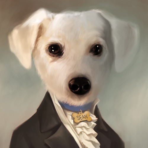 Cute portrait of Sean the Dog