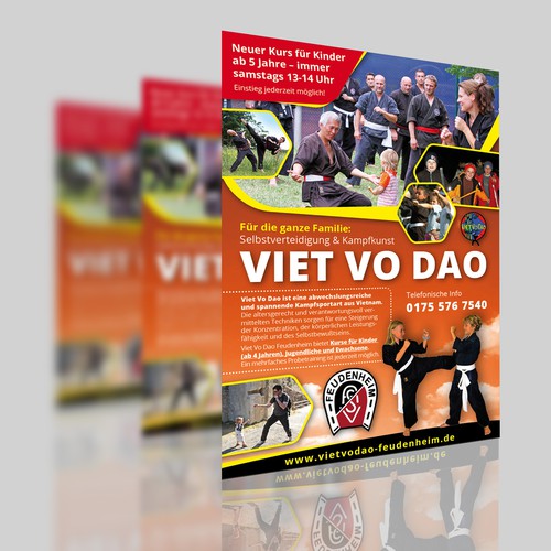 Viet Vo Dao Flyer