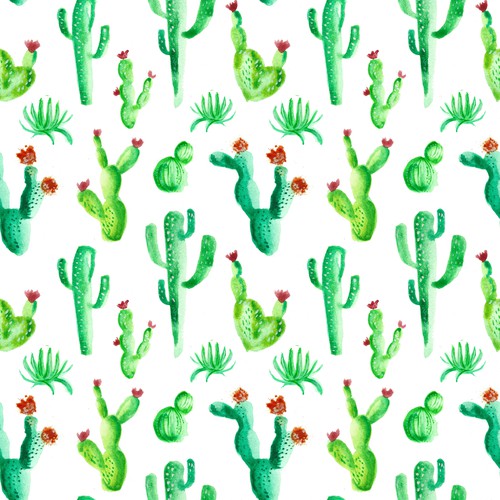 Cactus pattern