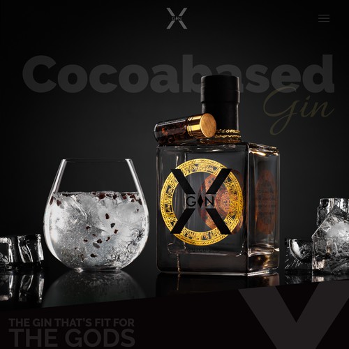 X-Gin website branding