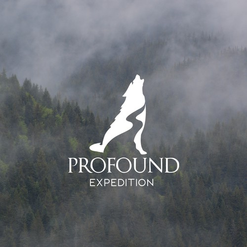 Logo `Profound expedition'