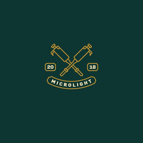 Microlight Logo Design