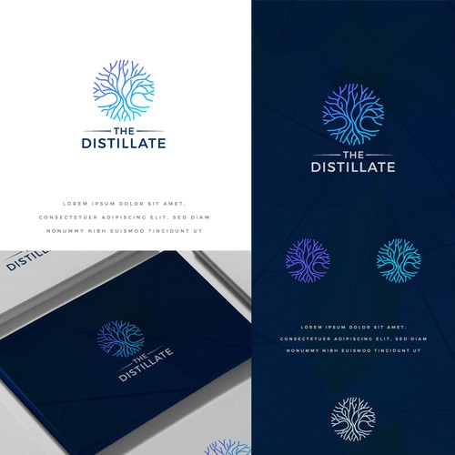 Organic logo design for 'The Distillate' 