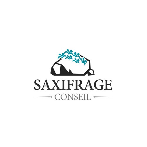 Logo of "Saxifrage" : a consulting firm named after the plant nicknamed the "rock-breaker"