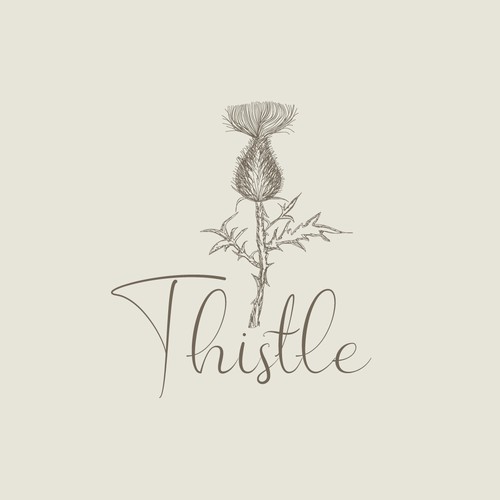 Thistle image and text logo for jewelry business
